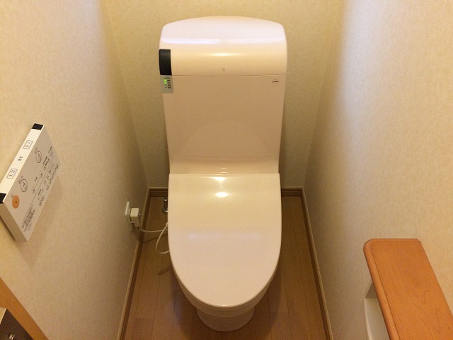 toiletcleaning.jpg