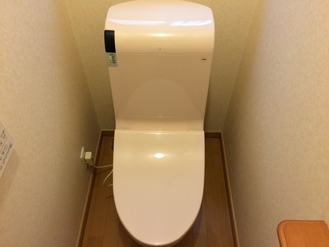 toiletcleaning.jpg
