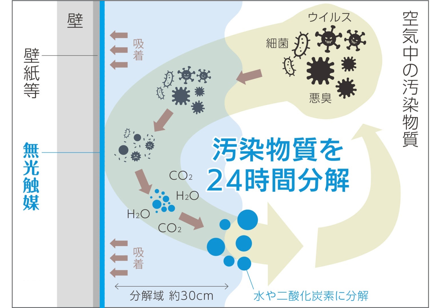 分解メカニズム